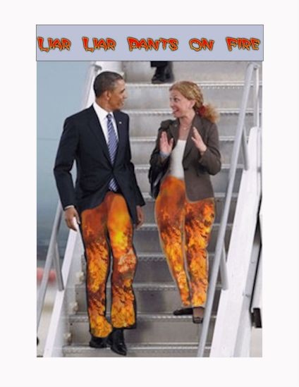 Democratic Deceptions