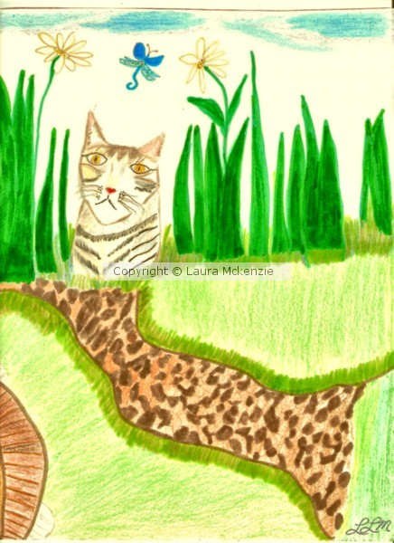 kitty