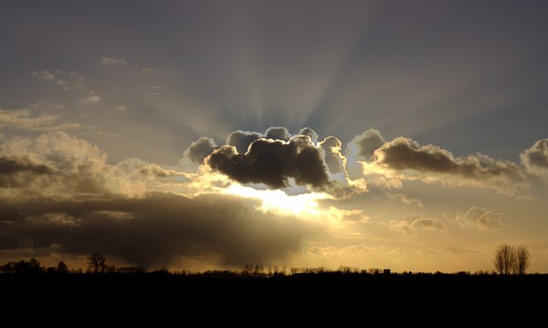 sunbeams
