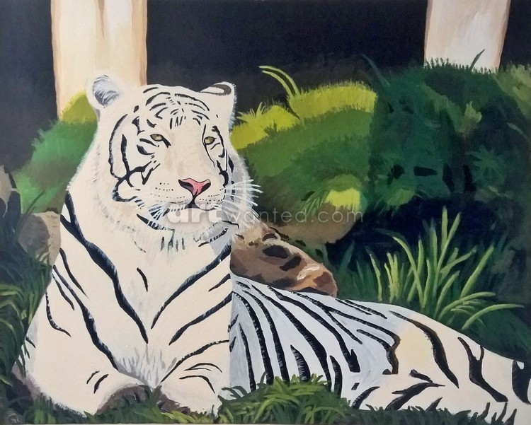 White Bengal Tiger