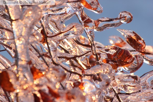 Frozen