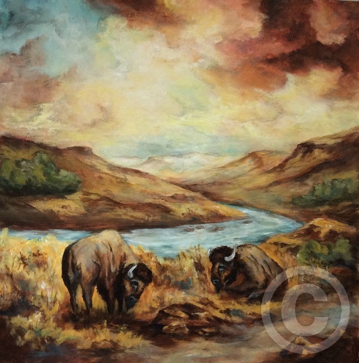 Western Slope Buffaloes300