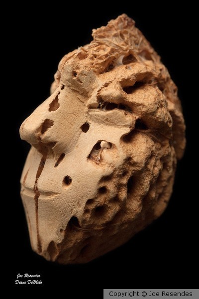 Carved Peach Pit: Serious