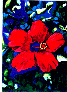 Red Hibiscus