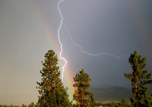 Lightning and Ponderosa Pine