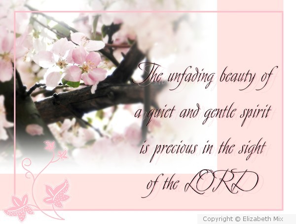 quiet and gentle spirit