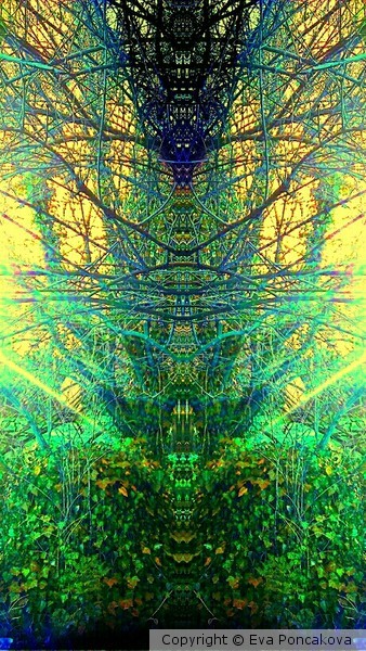 close your eyes and come in...
