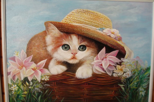 Cat under hat