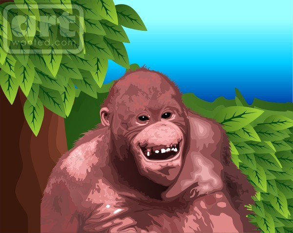 orang utan2