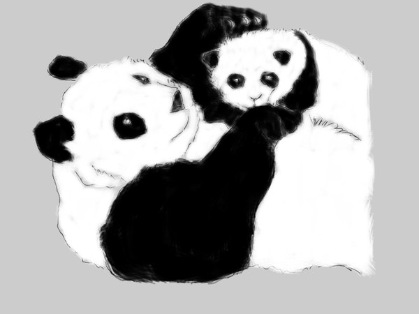 Pandas