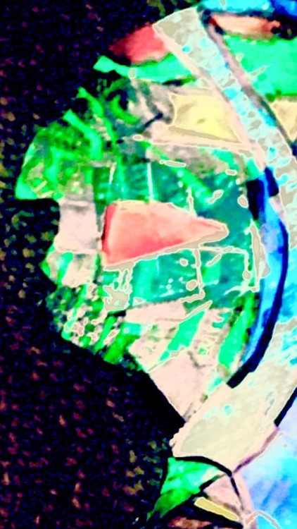 thumbnail-505