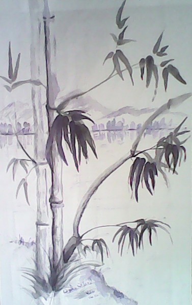 Bamboo
