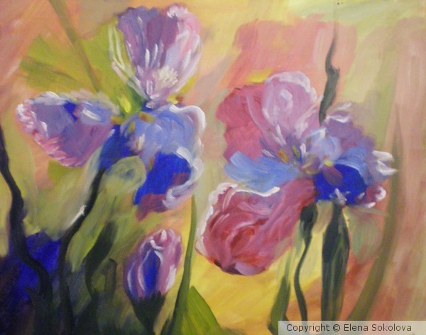 Irises
