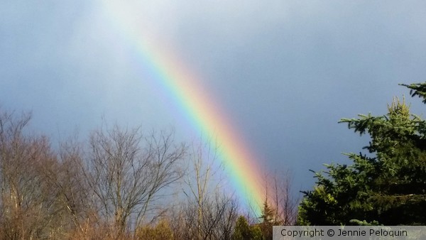 Rainbow Wishes