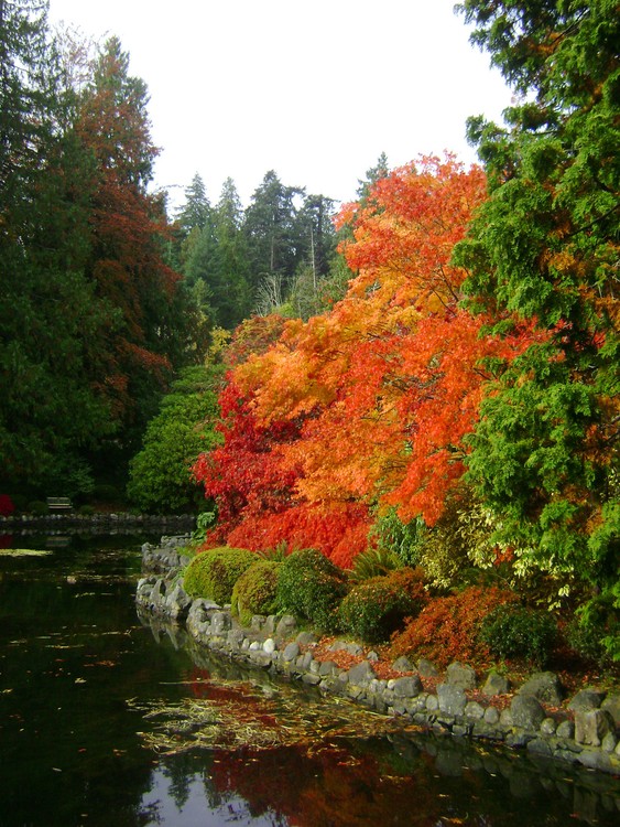 Colours of fall