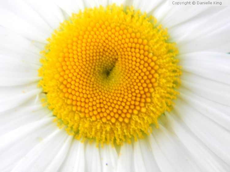 DSCN0536