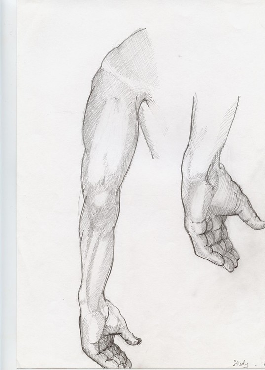 armstudy
