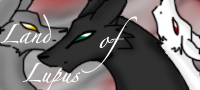 - Banner -