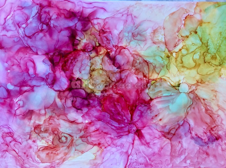 Pinky Peonies 