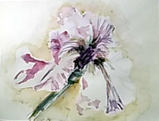 Lavendar Iris Watercolor