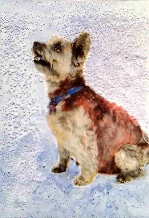 Chester Hand Colored Photograph