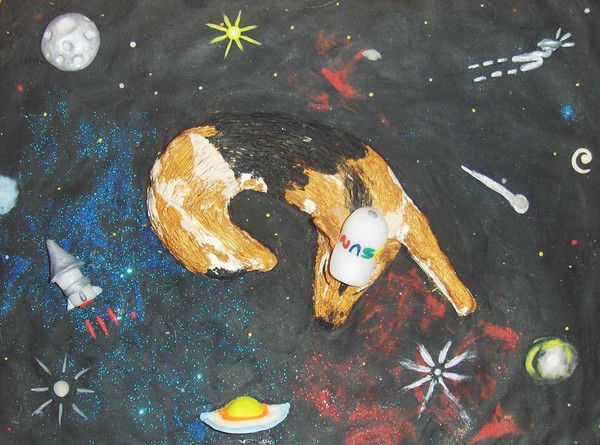 Doggie in space