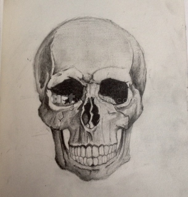 Skull