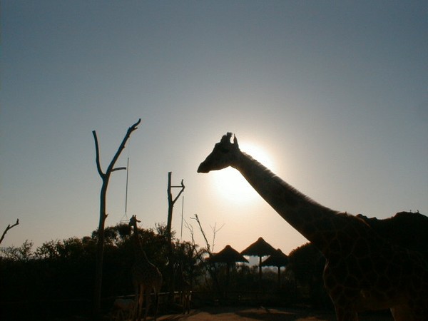 Australia Zoo