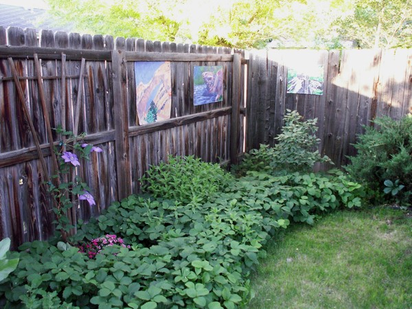 Garden Tour Finally for now.