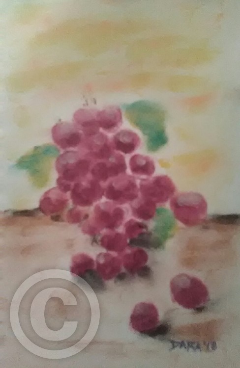 Grapes. On A Table. In The Sun
