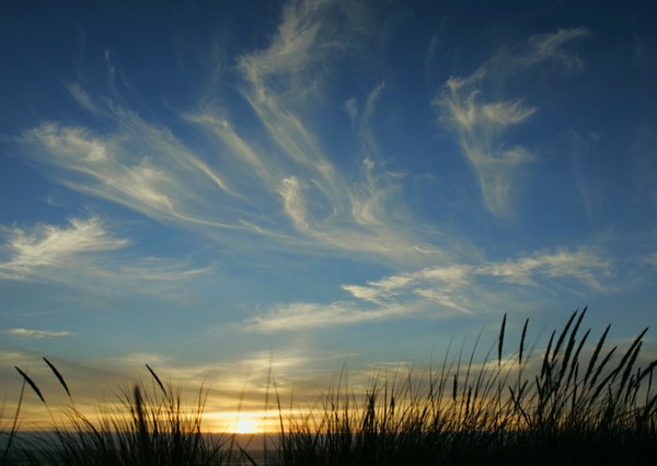 Painted Sky