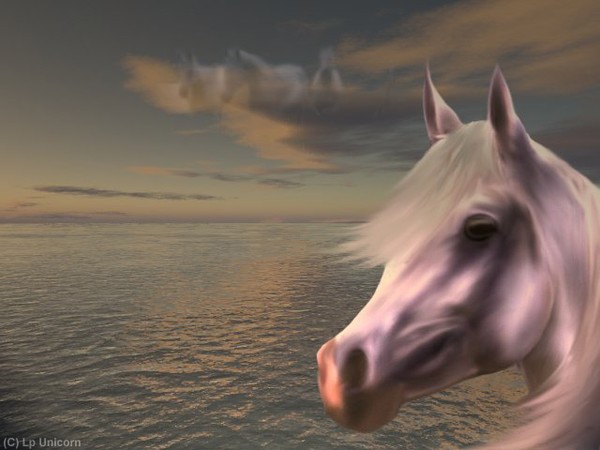 Arabian