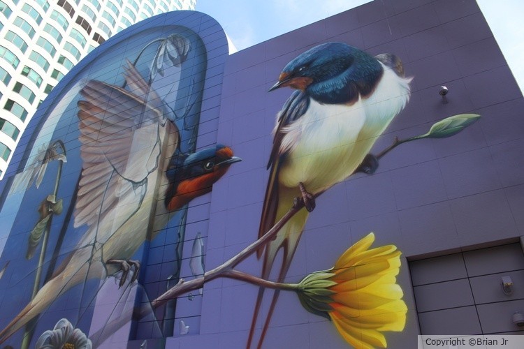 Birds Mural