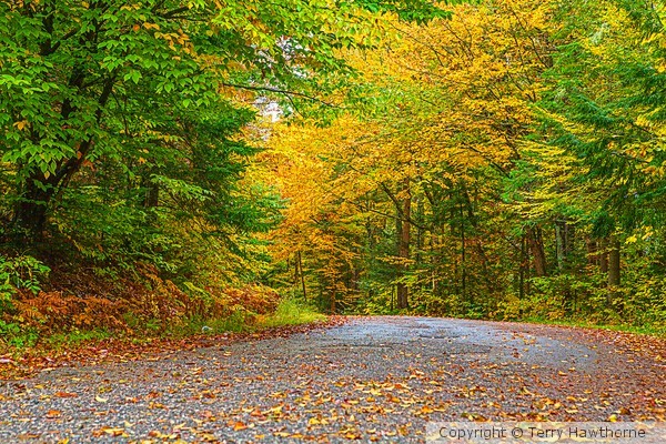 Autumn_3