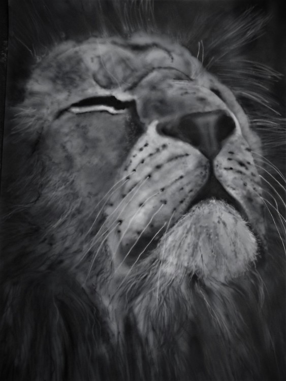 AIRBRUSH CATS on prepared A1 card