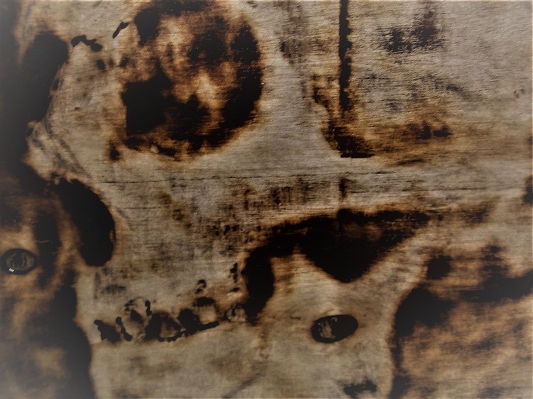 Srorched Skulls  (8)