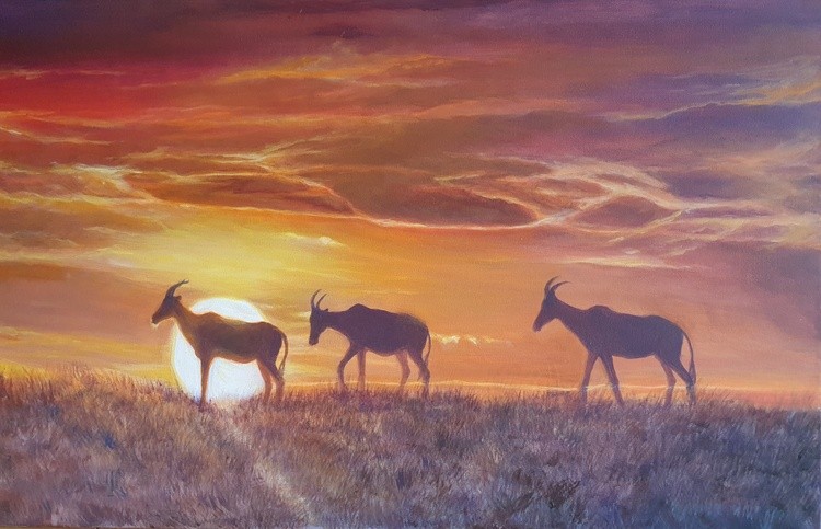 TOPI African sunset