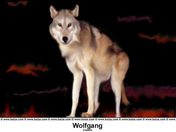 Wolfgang