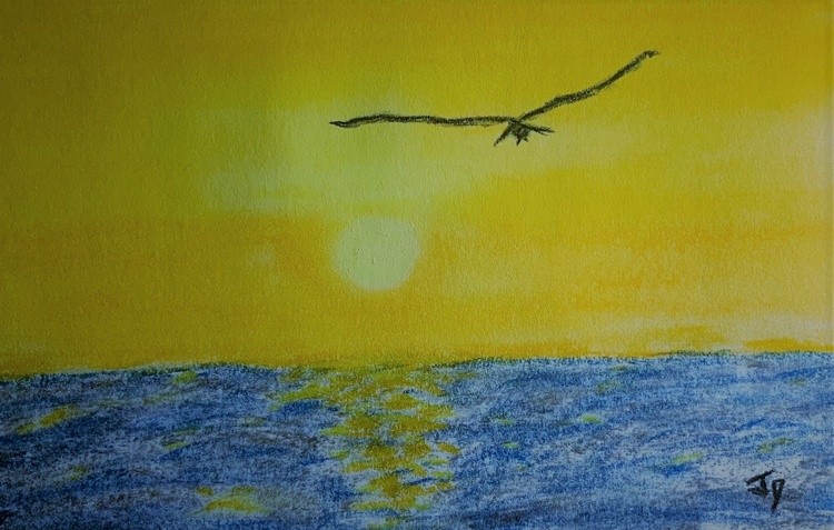  Bird Sunrise 
