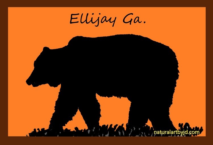 Ellijay Bear