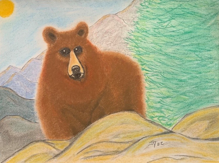 Bear Fun 22 (2)