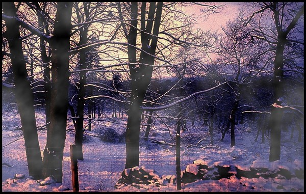 Winter Dreams......