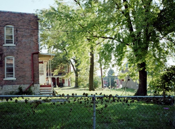 Backyard4