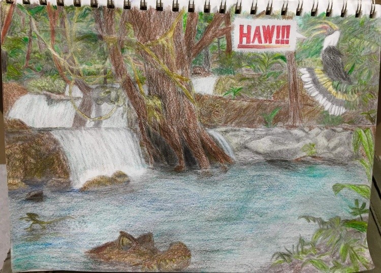 Hornbill Falls
