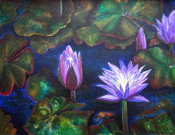Lily pond magic - A new morning