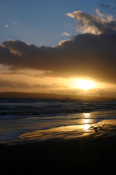 Seascape 2