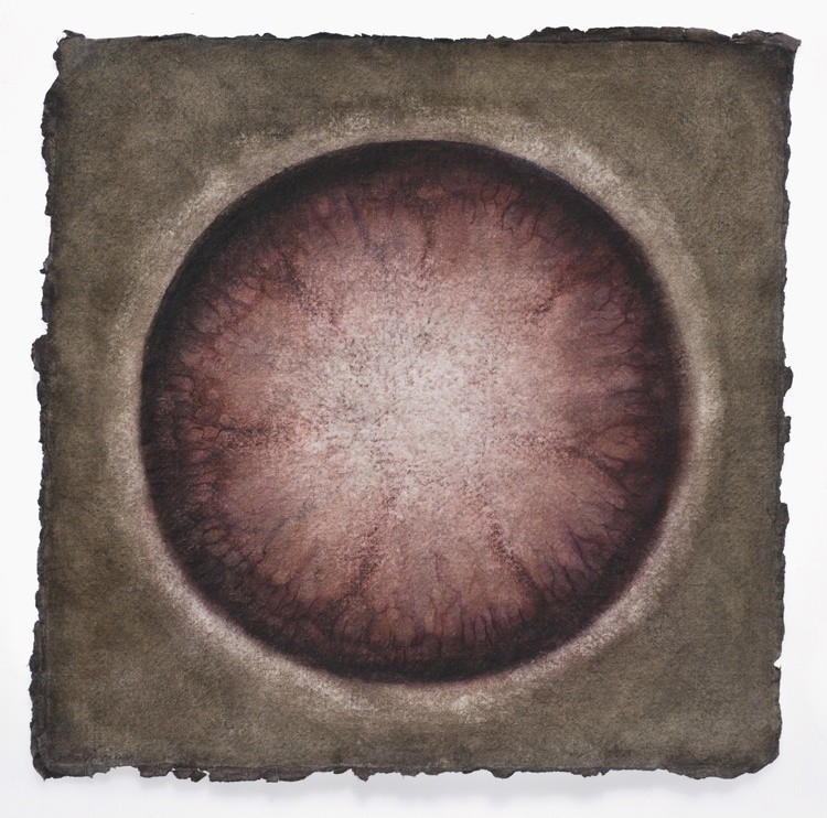 Cell