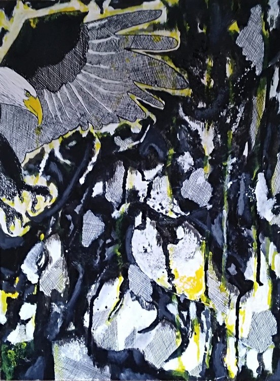 Aguila enfrentada a su sombra-30X24