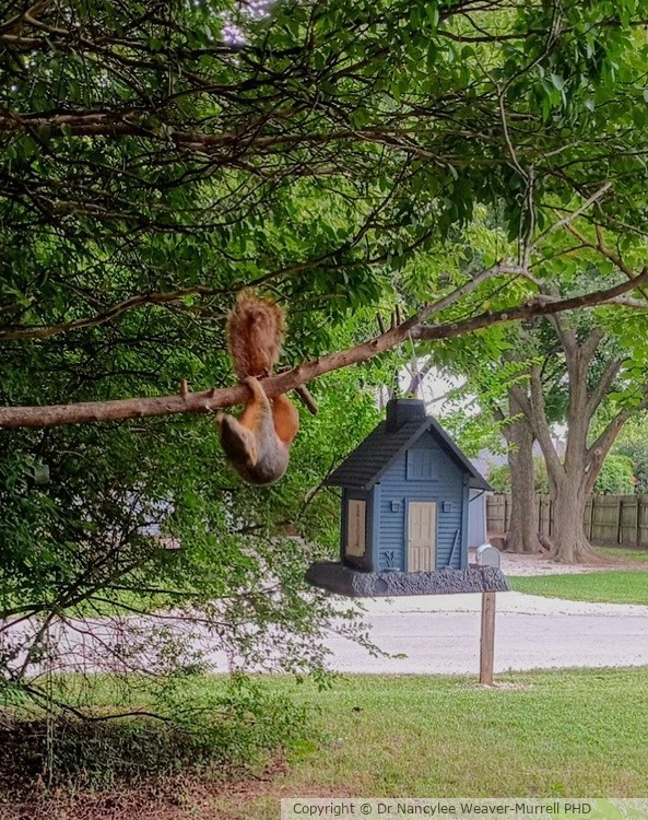 Hanging out.