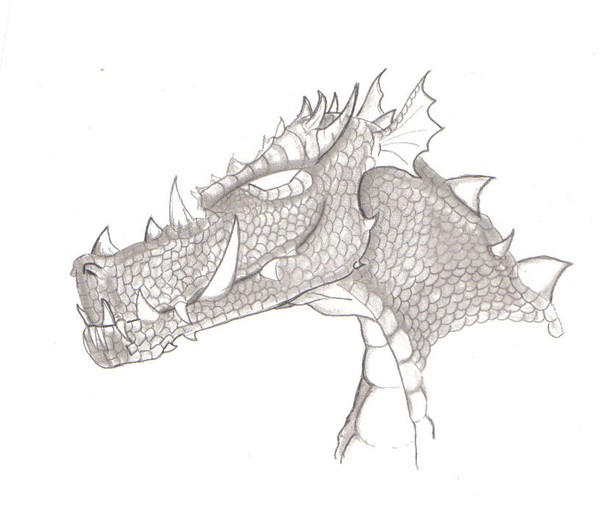 my dragon